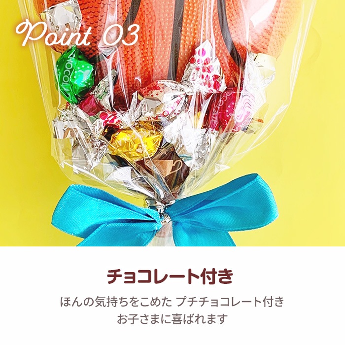 �Х롼��֡������祳���Х����� �Х����� �ץ쥼���