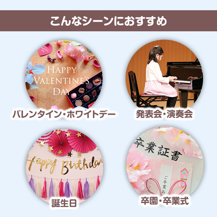 ���祳�졼�ȥ֡��� ���ĥХ롼��Ver.�� ���ۻҥ֡���