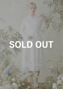 ��DD-006W�ۡ��������祴�ꡡ���ԡ�������졼��