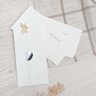 ��envelope-011�ۡ����������˵��ޡ��ϥ󥰥롡��3����3������