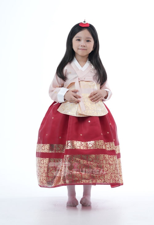 ちょごり屋さん すべての商品 【F-738D】 女の子チョゴリ