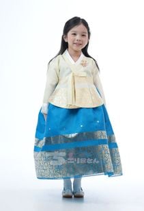 オーダーチョゴリ ちょごり屋さん チョゴリ大人,女性(オーダーメイド)