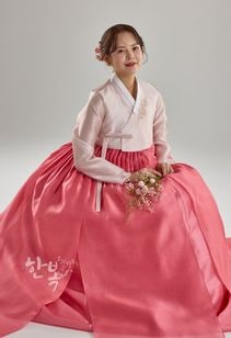 ��DC25-187�ۡ���ͥ��祴�ꡡ����