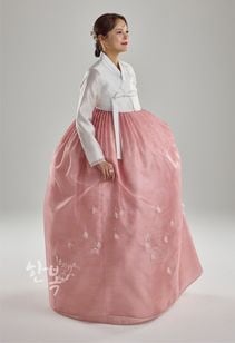 ��DC25-185�ۡ���ͥ��祴�ꡡ����