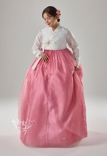 ��DC25-182�ۡ���ͥ��祴�ꡡ����