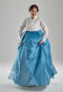 ��DC25-181�ۡ���ͥ��祴�ꡡ����