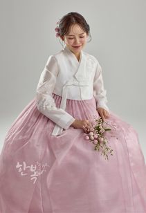 ��DC25-179�ۡ���ͥ��祴�ꡡ����