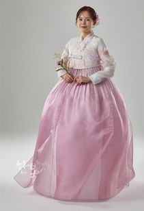 ��DC25-172�ۡ���ͥ��祴�ꡡ����