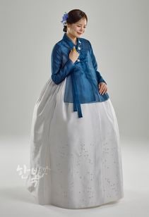 ��DC25-167�ۡ���ͥ��祴�ꡡ����