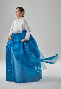 ��DC25-166�ۡ���ͥ��祴�ꡡ����