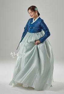 ��DC25-158�ۡ���ͥ��祴�ꡡ����