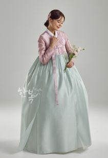 ��DC25-157�ۡ���ͥ��祴�ꡡ����