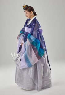 ��DC25-154�ۡ���ͥ��祴�ꡡ����