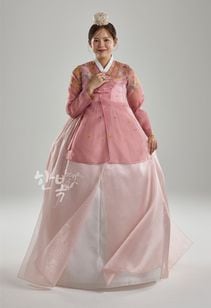 ��DC25-103�ۡ���ͥ��祴�ꡡ����