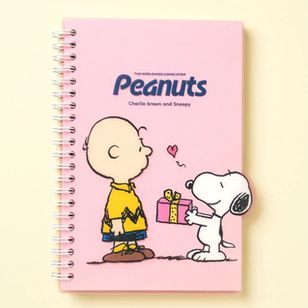 ��notebook-027�ۡ����̡��ԡ����ӥ�ơ������Ρ��ȡ�B6��100��