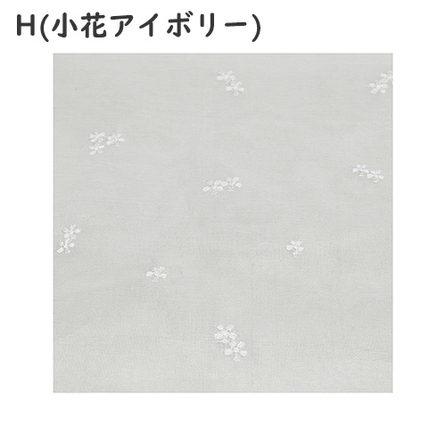 ��TPM-012�ۡ����ڥ��ȥ꡼���ߥ�100����W55cm��H77cm����ñ�ʥ�󥿥��