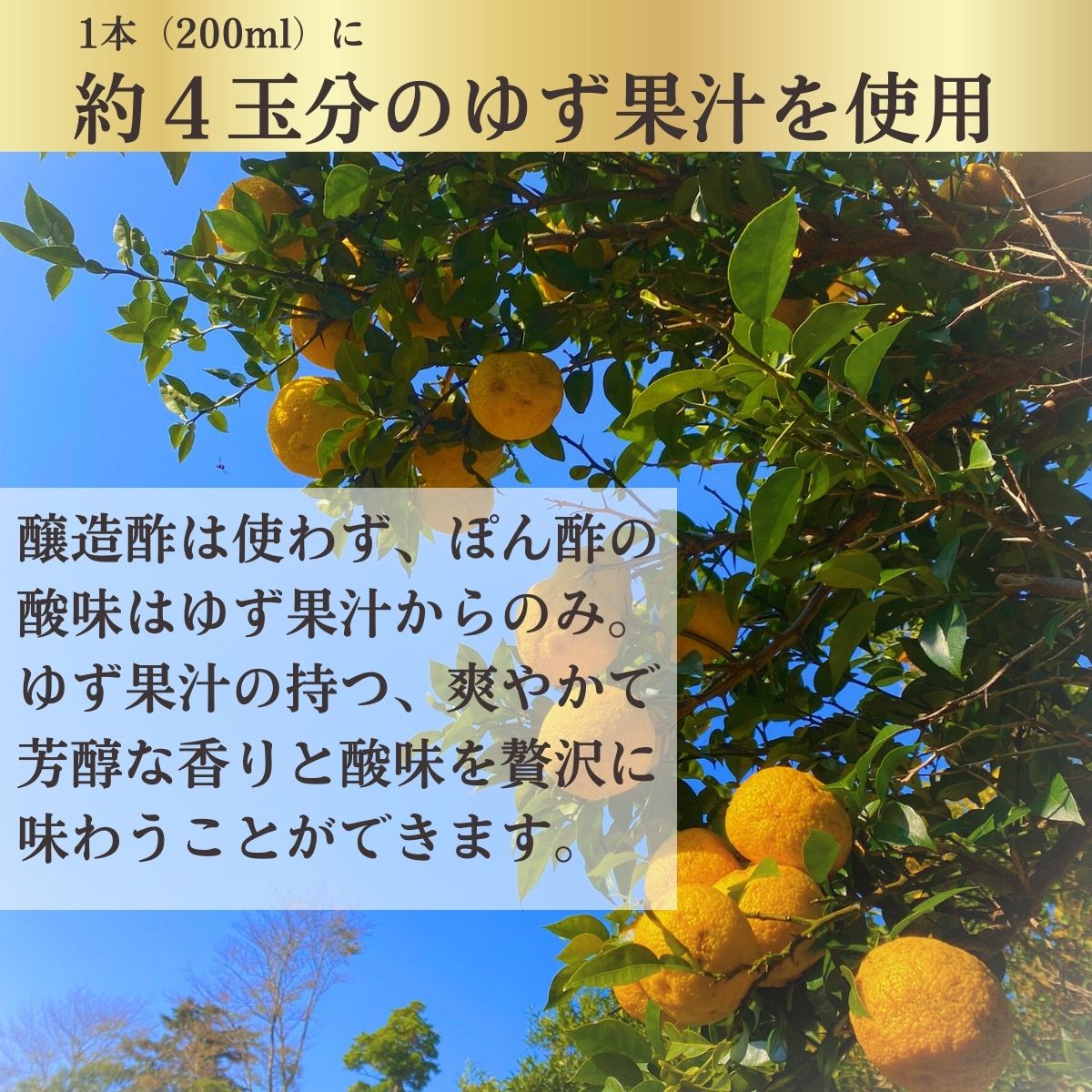対馬ゆずポンスヌーボー(3本入)【送料無料・12月発送予約商品】