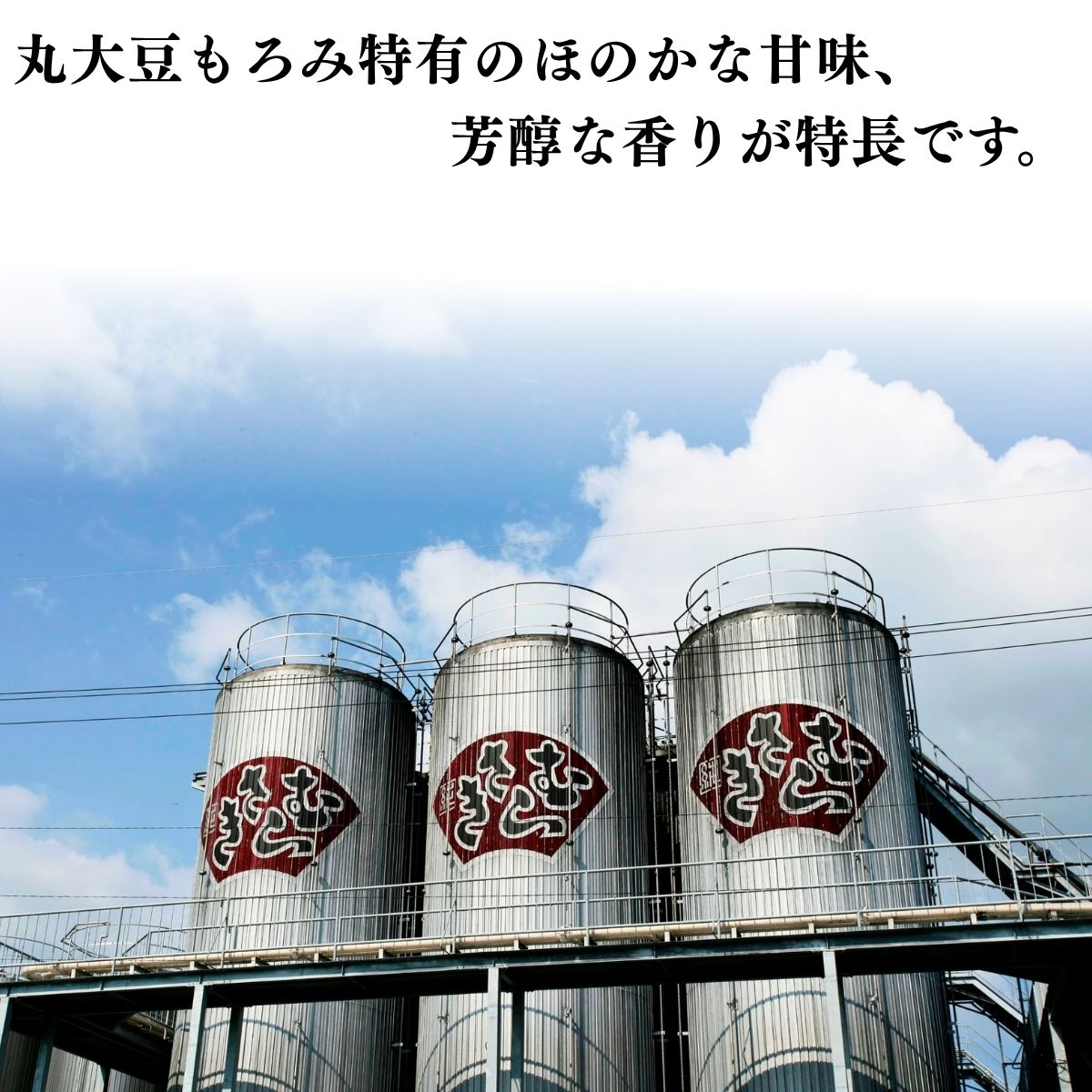 純むらさき 1L｜チョーコー醤油公式通販サイト