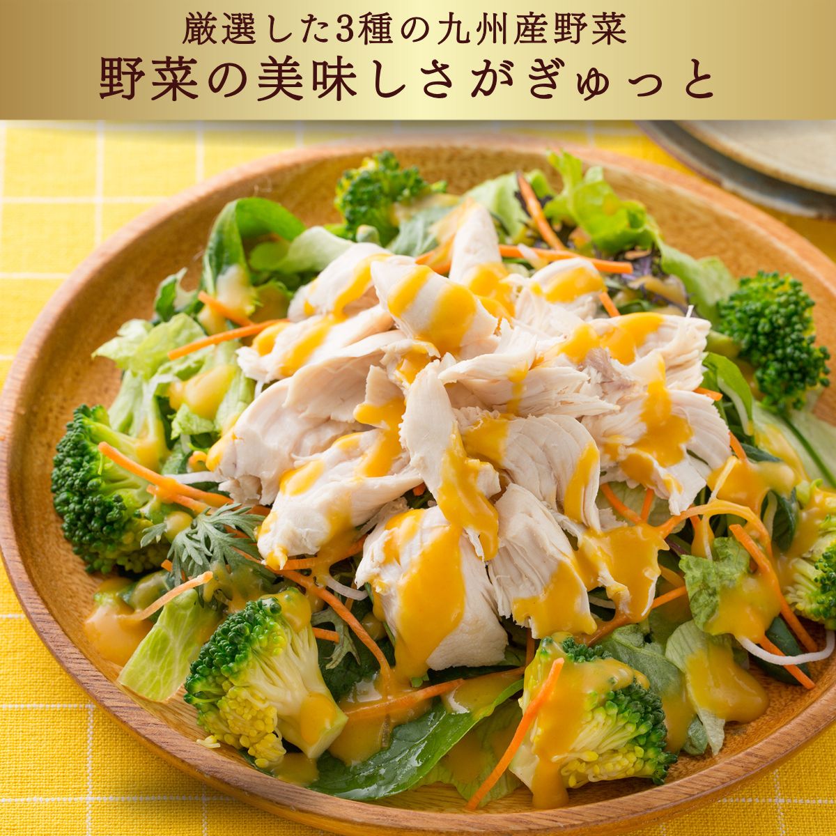 デンリュウの野菜ドレッシング (200mlPET)