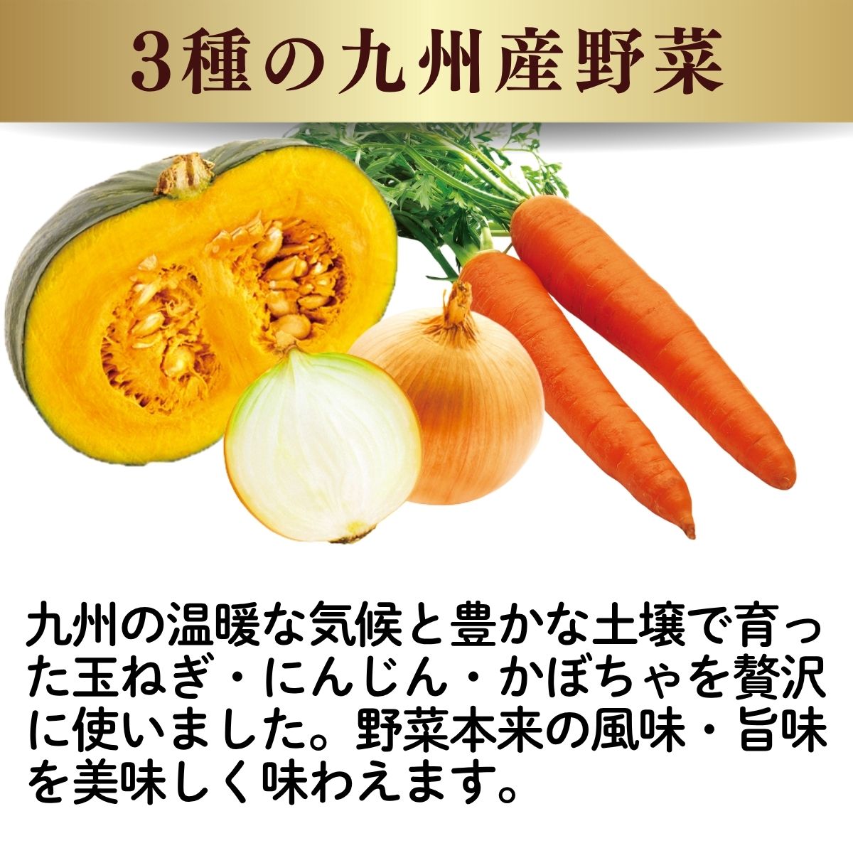 プレミアムドレッシング九州産野菜 (200mlPET)
