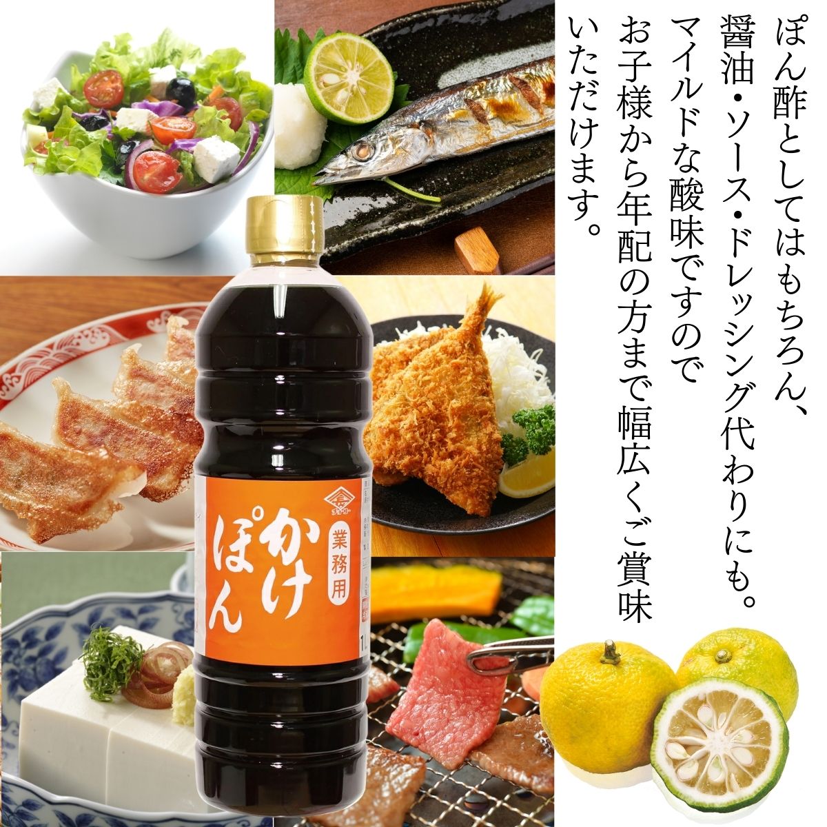 業務用かけぽん (1L PET)