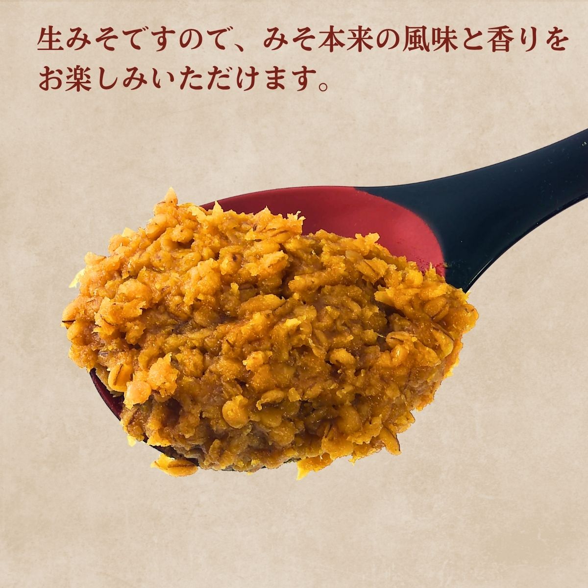 純正ながさきみそ (500g袋)