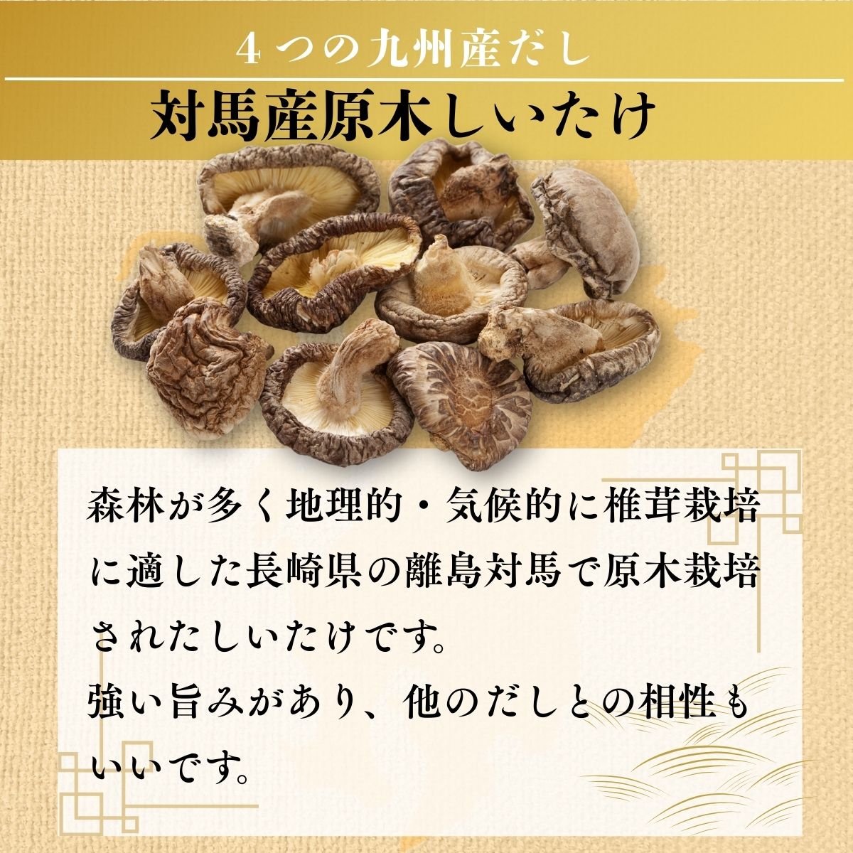 九州だし寄せ鍋つゆ (30ml×4袋入)