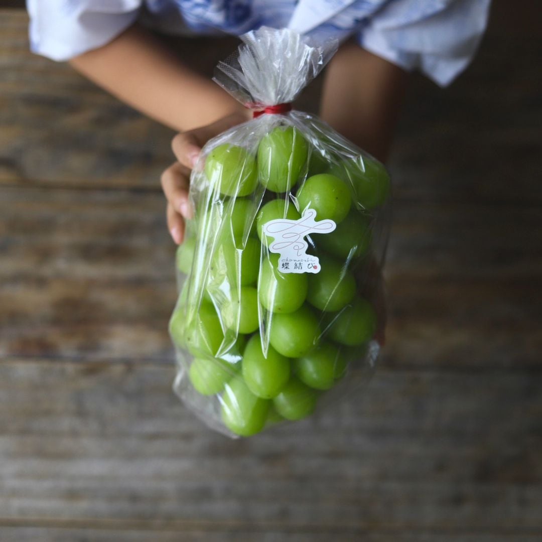 ぶどう食べくらべセット2種mini-ジュエリーボックス- | すべての商品