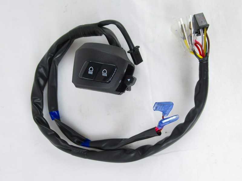 YAMAHA 純正 インド仕様R15M/インド仕様R15 V4 左スイッチボックス