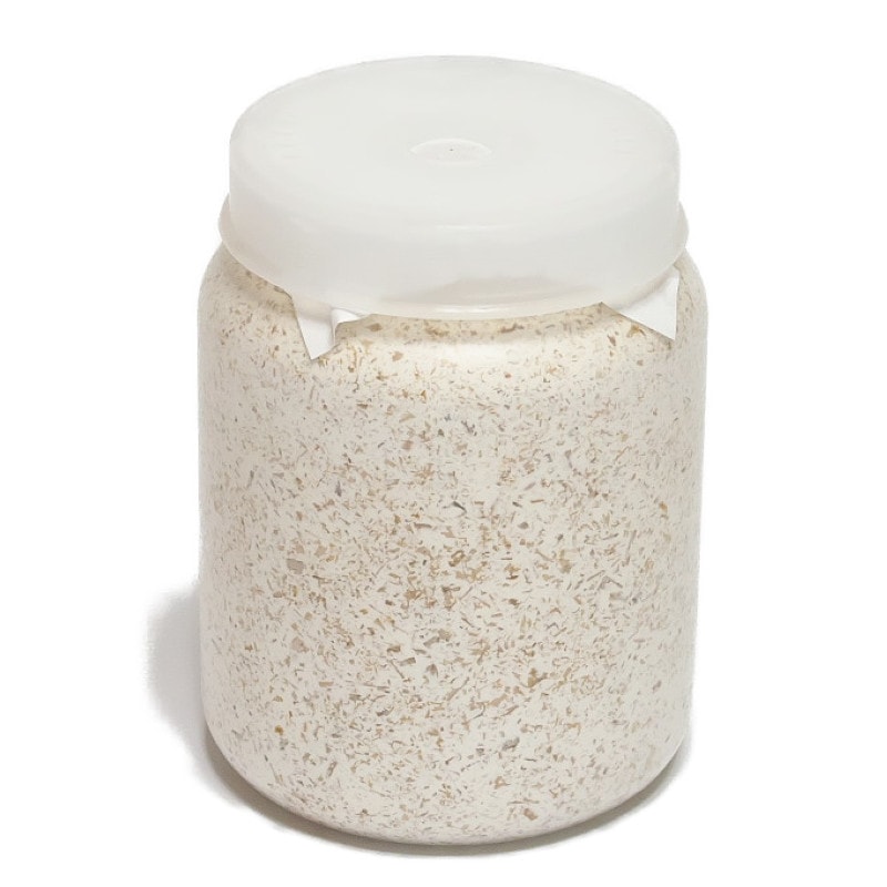 菌糸ビンCS800cc オオクワガタ用菌糸 | 菌糸 | 銚子