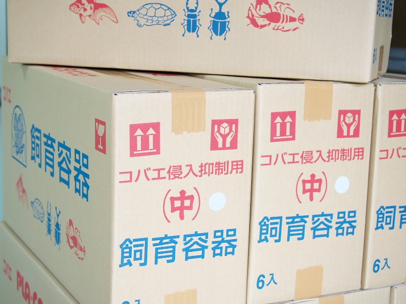 送料当店負担】コバエ侵入抑制ケース【中ケース】仕切り無し 18個 