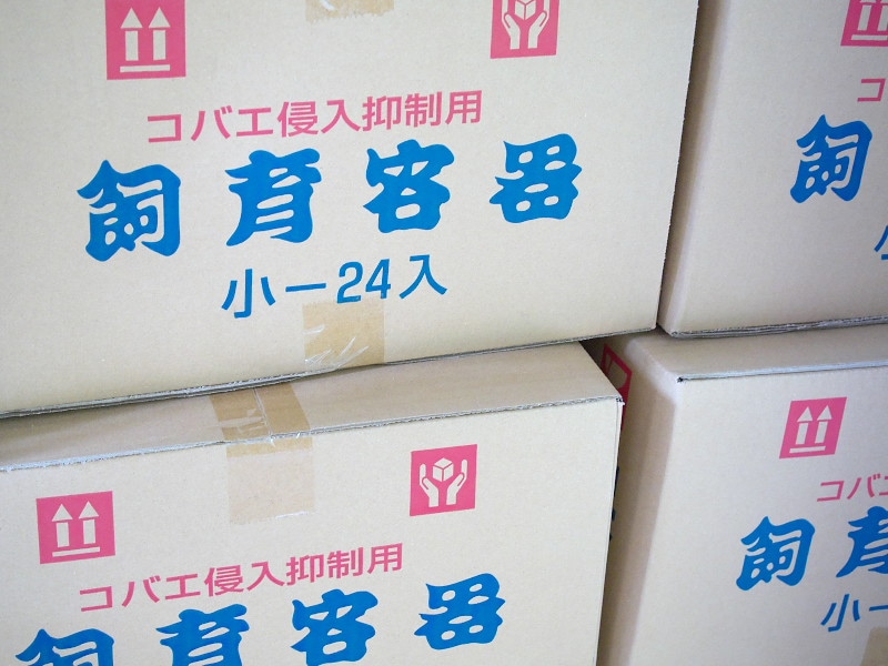 ŹôۥХھۻڤ̵48ĥå(242)ƱԲ