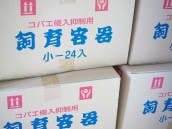 ŹôۥХھۻڤ̵24ĥå(241)ƱԲ