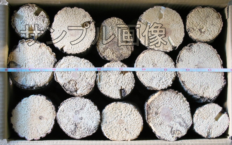 �ϥ���3ǯʪ���̥������ڡ�Ȣ���30���������äƤ��ޤ���