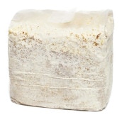 ��������Ź��ô�۾ﲹ�ء�Ʊ���Բġ��ãӶݻ�֥��å�3.5L��10�����ꡡ�������ߡ�4��30���ޤ�