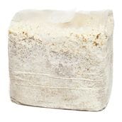 �ڹ���ľ���۾ﲹ�ء�Ʊ���Բġ��ãӶݻ�֥��å�3.5L��6�����ꡡ�������ߡ��������