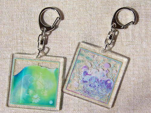 Tomoko Shirakumo�������ۥ�������������̾�ʥ��������)/�Ʋ�ʥ�����)�١�/���ͧ��