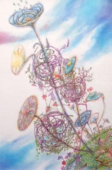 Tomoko Shirakumo�������ץ��Ȳ衡��������������١�/���ͧ�ҡ�