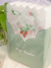 ���ե��ʥץ���(���������ۥ磻�ȡˡ�