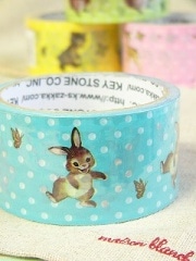 ���������饤�ȥ֥롼���ɥåȥ���եȥơ���