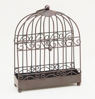 ��������㸯�� CAGE���㸯��&������ϥ���