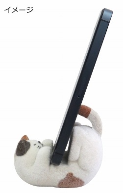 DECOLE ͤnecoronˡֹǭסڥޥۥɡ