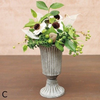 �ե�������ȥ꡼�������ݥåȡ�3���A/B/C��