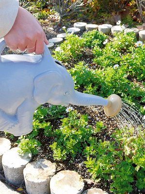 ����ե���ȡ����ץ�󥯥顼�ʤ�������Τ��礦���ˡ㥰�졼/�ԥ󥯡䡡�ʥ�˥塼����С�������