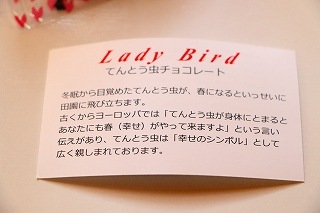 ֹΥܥפƤȤ祳졼ȡʥءʥåĥ祳ˡ2ĥå ϡȥѥåۡʥץȥХåդ