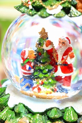 ���ڵ��֤�ư�����㤬�񤦢����������ۡ����ꥹ�ޥ����󥿥����������� �ĥ꡼���ȥ쥤��ۡ����Ρ��ɡ��ࡡ�㥯�ꥹ�ޥ����󥰥�ɥ졼�Żҥ��르����Ĥ��䡡����