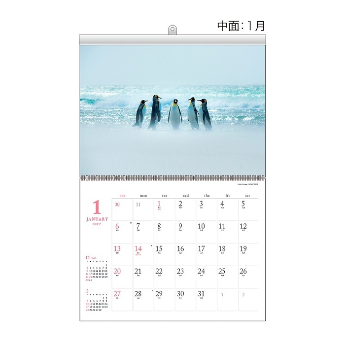 2019ǯ⺽ У У 