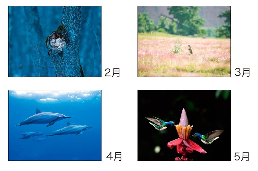 2019ǯ⺽ У У 