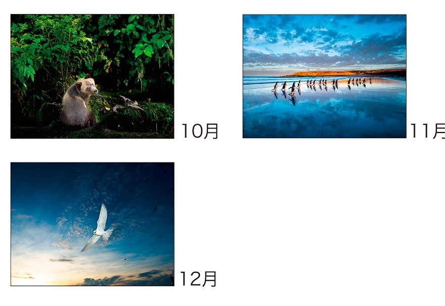 2019ǯ⺽ У У 
