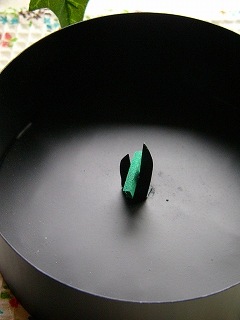 ��MODERN  �㸯��Ȣ��ݡ�